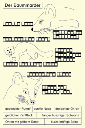 marder1.png