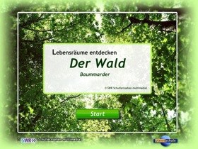 wald1.jpg