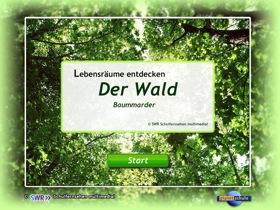 wald1.jpg
