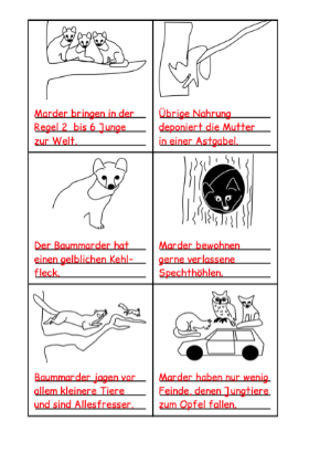 marder6.png