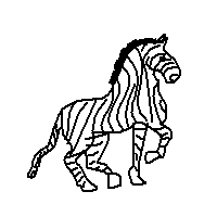 Zebra