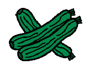 Zucchini