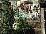 Balkon mit Blumen