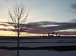 Winterlandschaft mit kahlem Baum