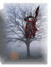 baum5.gif