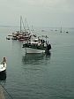 Hafen mit Fischkuttern