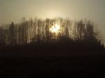 Sonnenaufgang im Nebel