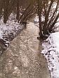 Bach im Winter
