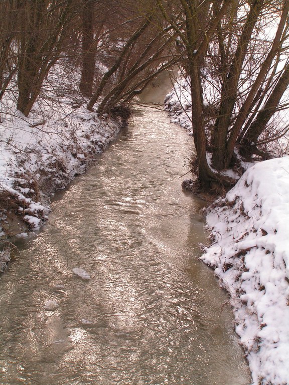 winter1.jpg
