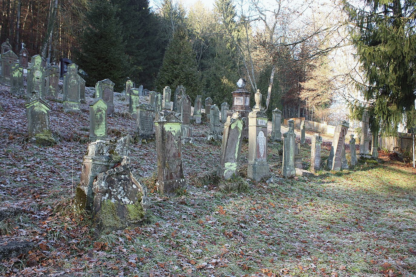 friedhof04.jpg