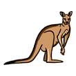 Kangaroo