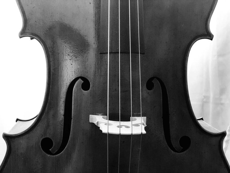 fete-musique-violoncelle.jpg