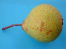 poire poire