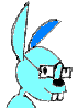 Lapin Lapin