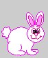 lapin_ani.gif
