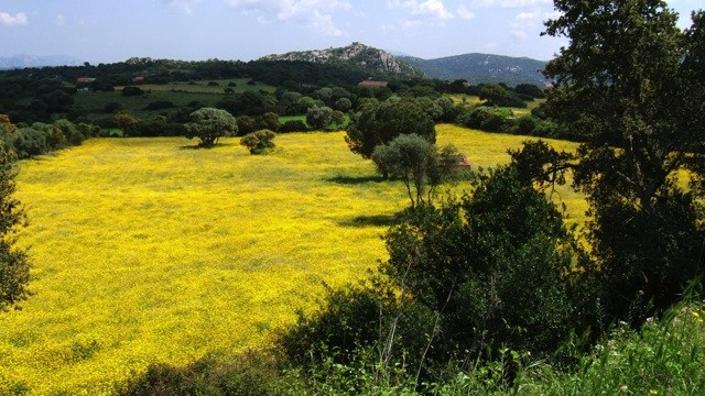 Paesaggio