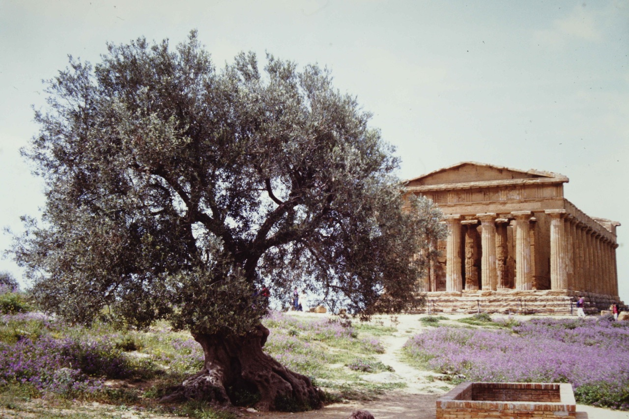 Agrigento, Valle dei Templi