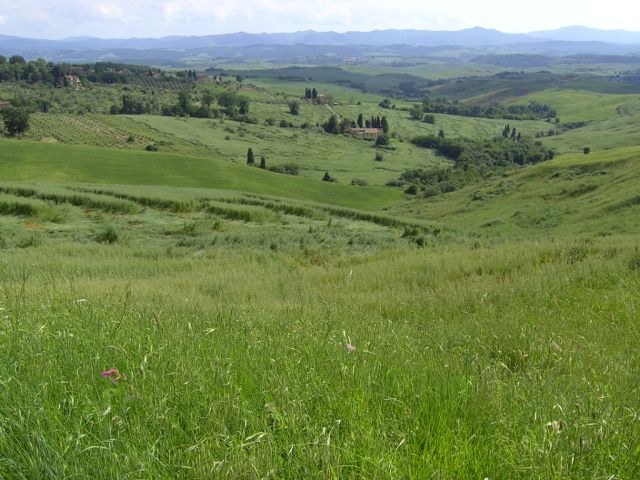 Paesaggio toscano