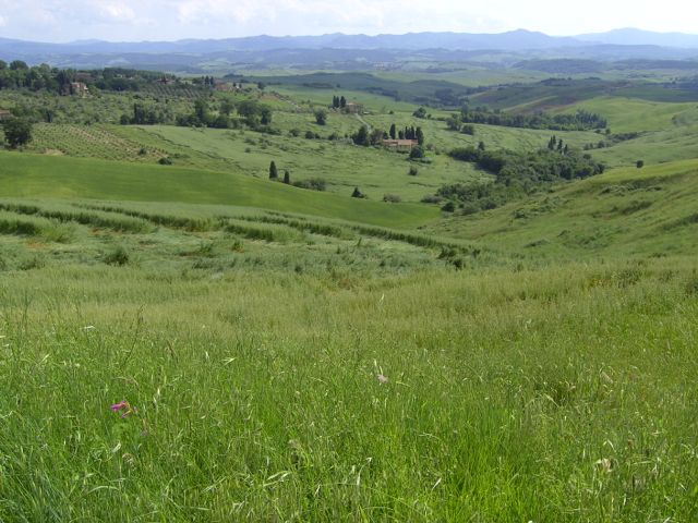 Paesaggio toscano