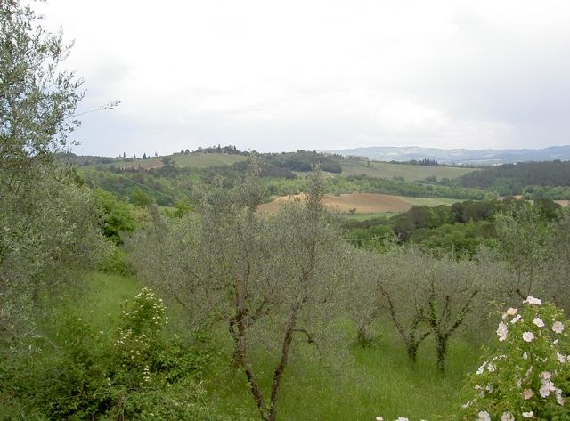 Paesaggio toscano Paesaggio toscano