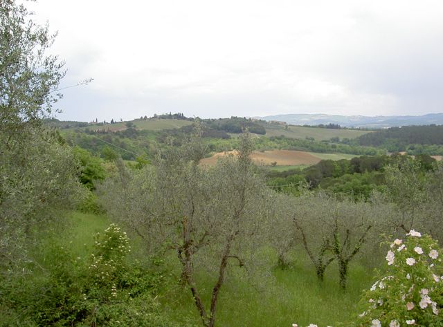 Paesaggio toscano