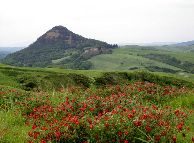 Paesaggio toscano