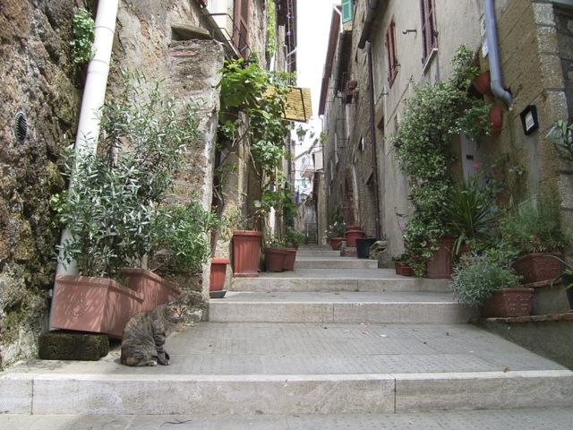 Pitigliano