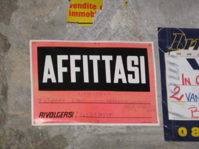 Affittasi