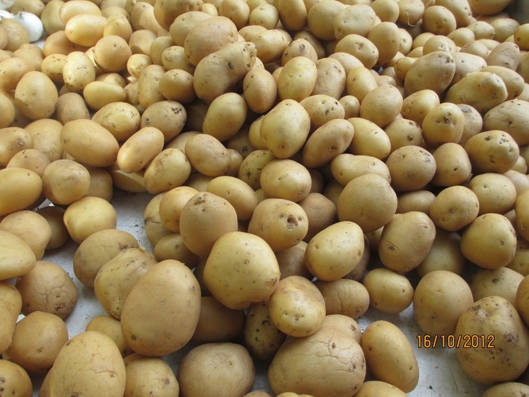 Patate