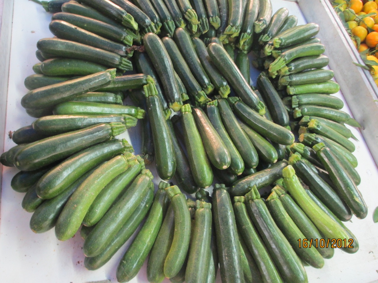 Zucchine