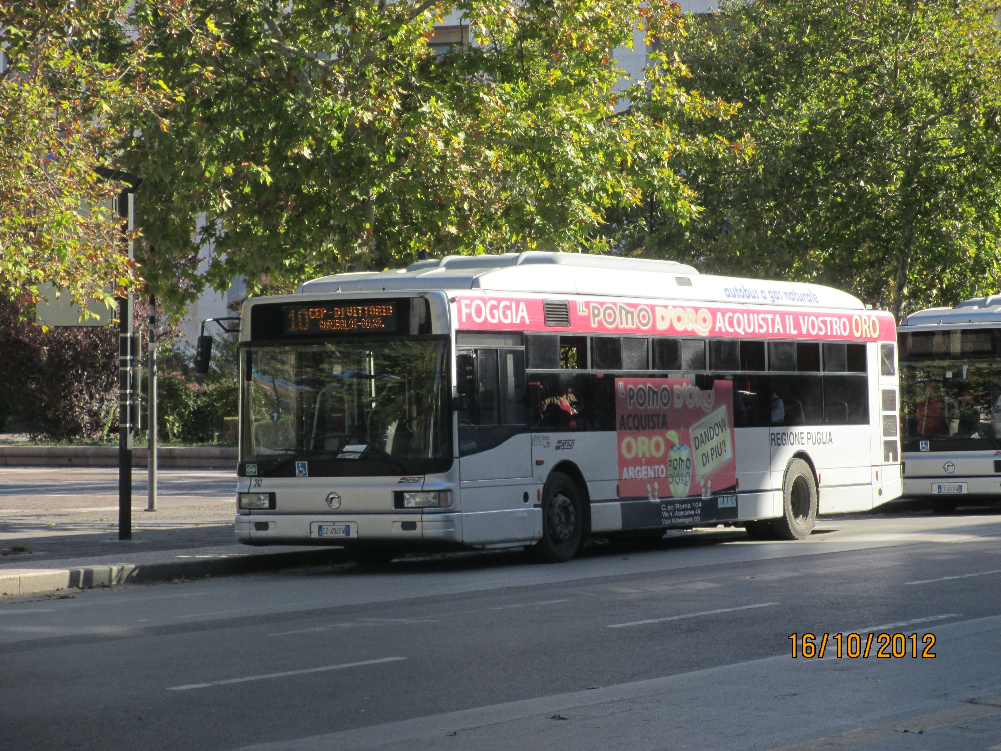 Autobus