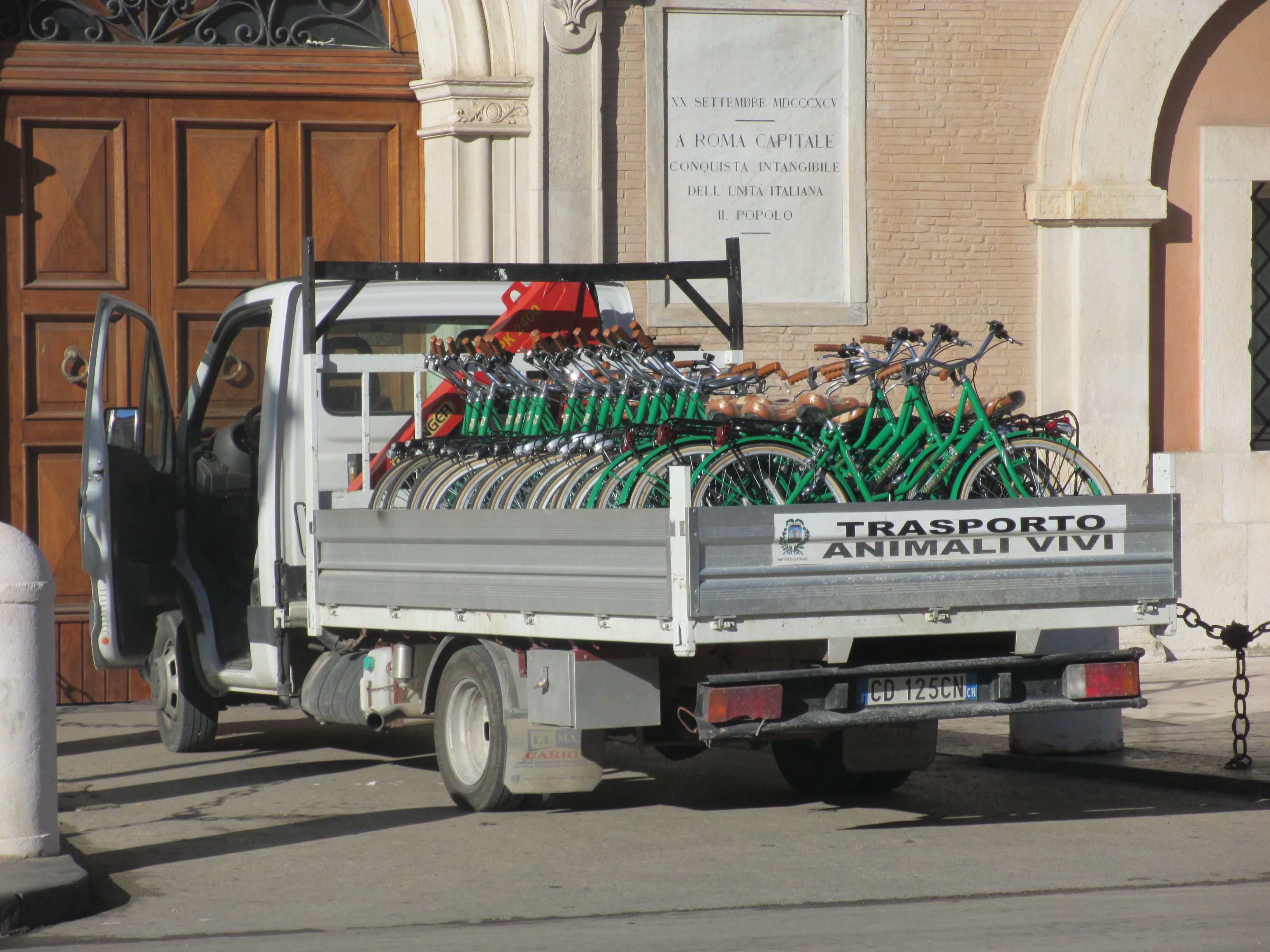 Biciclette da noleggio