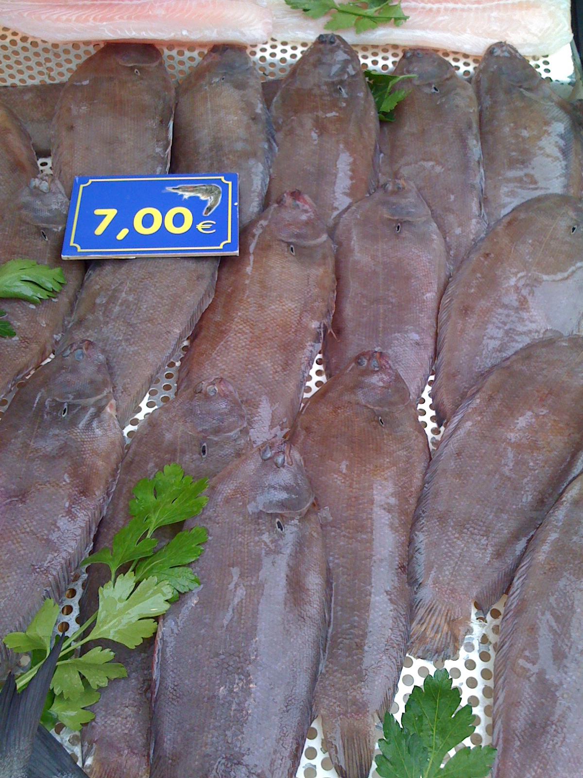 Sogliole