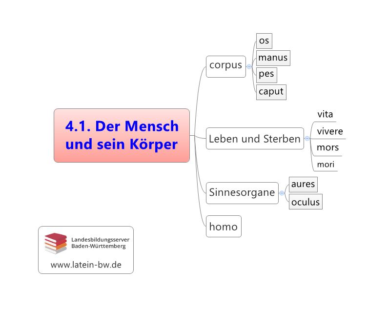 Körperteile Kap. 4.1