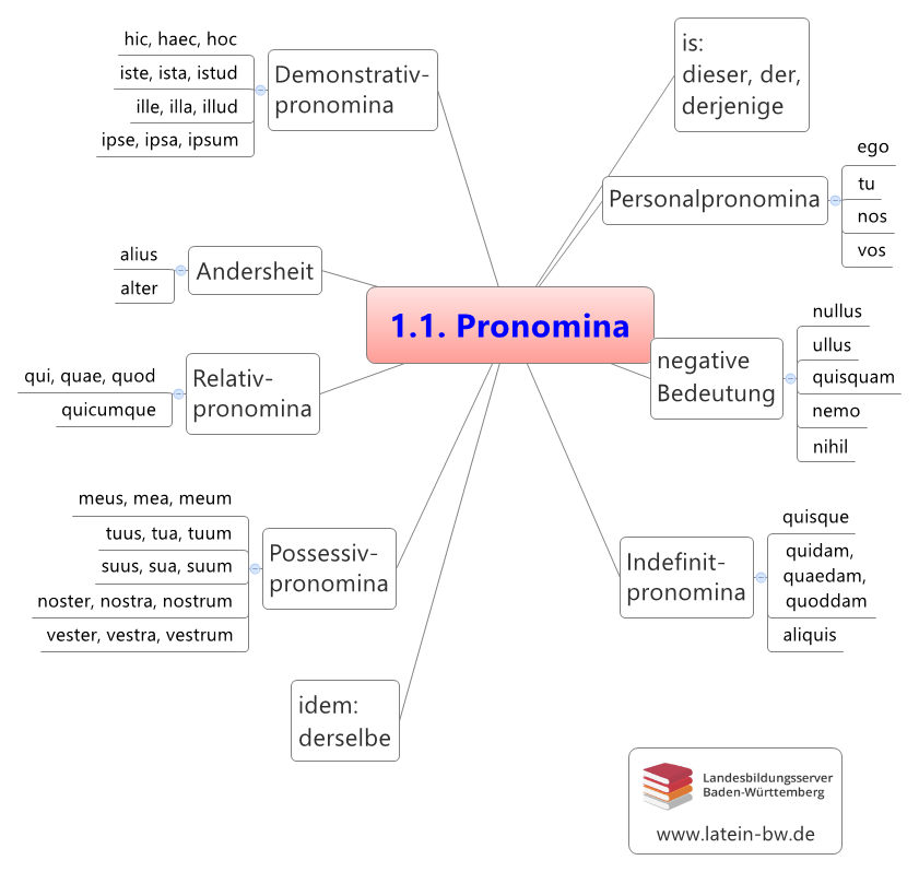 Pronomina Kapitel 1.1.