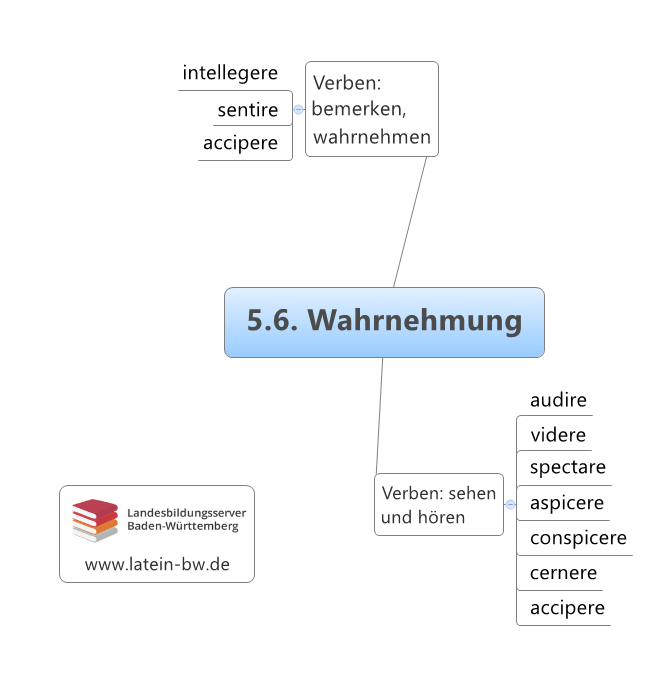 Wahrnehmung Kapitel 5.6