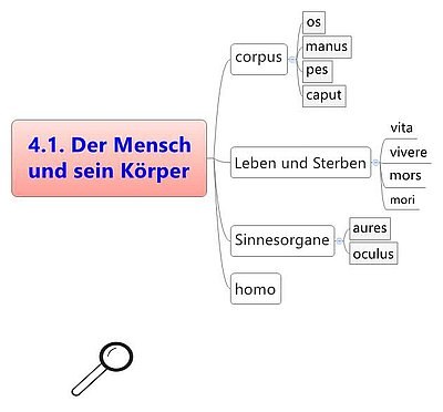 Der Mensch und sein Körper 4.1 Der Mensch und sein Körper 4.1