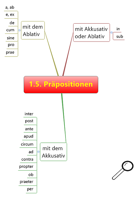 Präpositionen im lateinischen Grundwortschatz