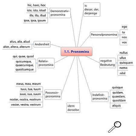 Pronomina Kapitel 1.1