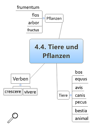 Grundwortschatz Tiere und Pflanzen