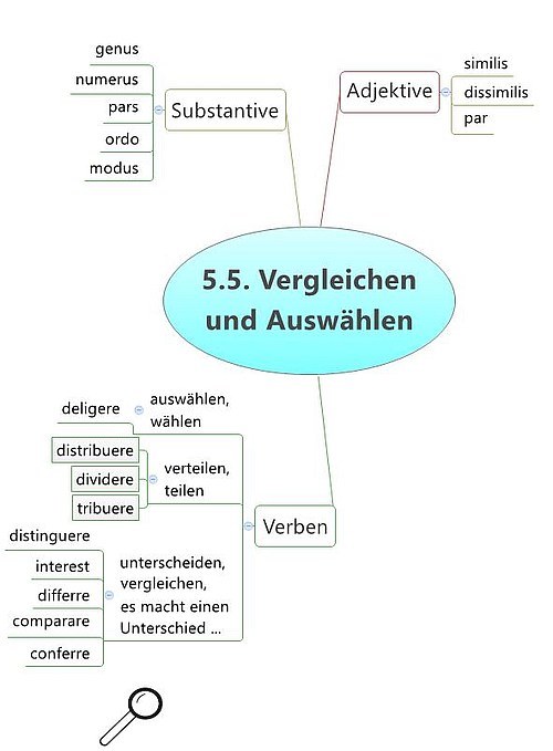 Vergleichen und Auswählen Kapitel 5.5 Vergleichen und Auswählen Kapitel 5.5