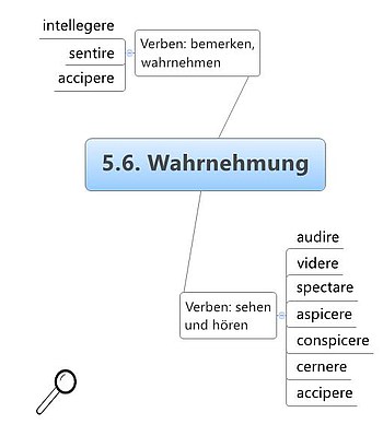 Vokabelbild Wahrnehmung