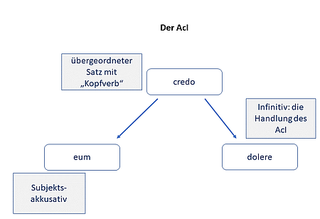 AcI Schaubild