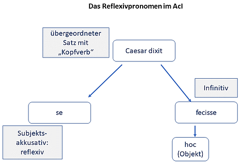 Schaubild AcI reflexiv