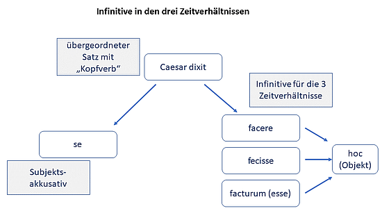 Die Zeitstufen des AcI