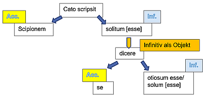 Struktur des AcI