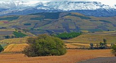 portalbild_ecuador.jpg