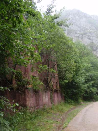 un antiguo cargadero de carbón, ahora invadido por la Naturaleza