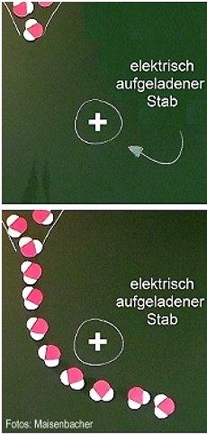 Moosgummi-Modell