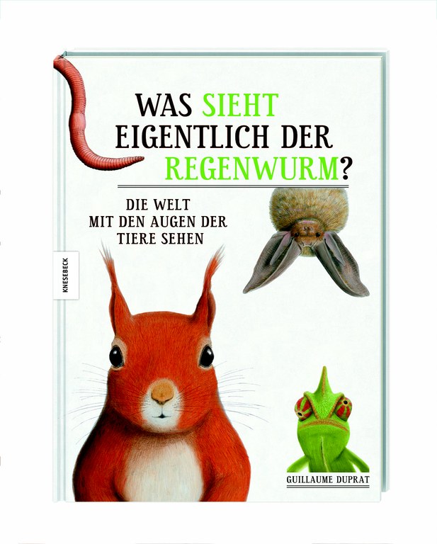 bild_1.jpg